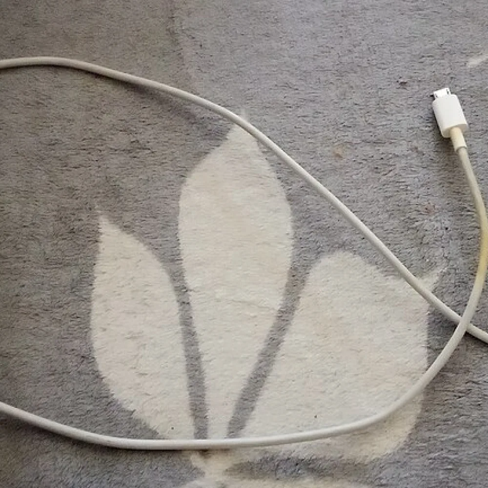 USB-C Fast Charger
